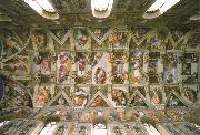 Michelangelo Buonarroti the sistine chapel ceiling china oil painting artist